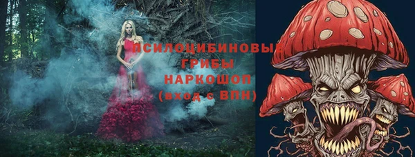 дурь Белоозёрский
