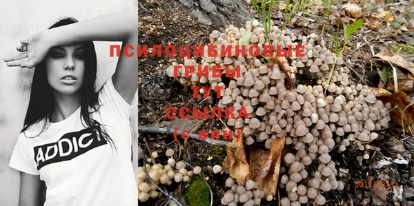 кокаин премиум Белокуриха